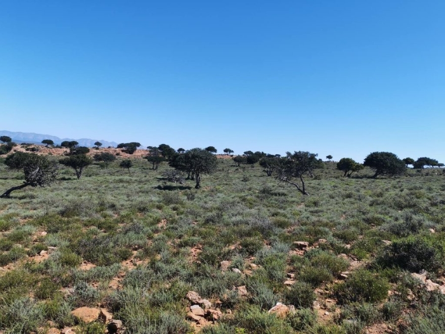 5 Bedroom Property for Sale in Steytlerville Eastern Cape